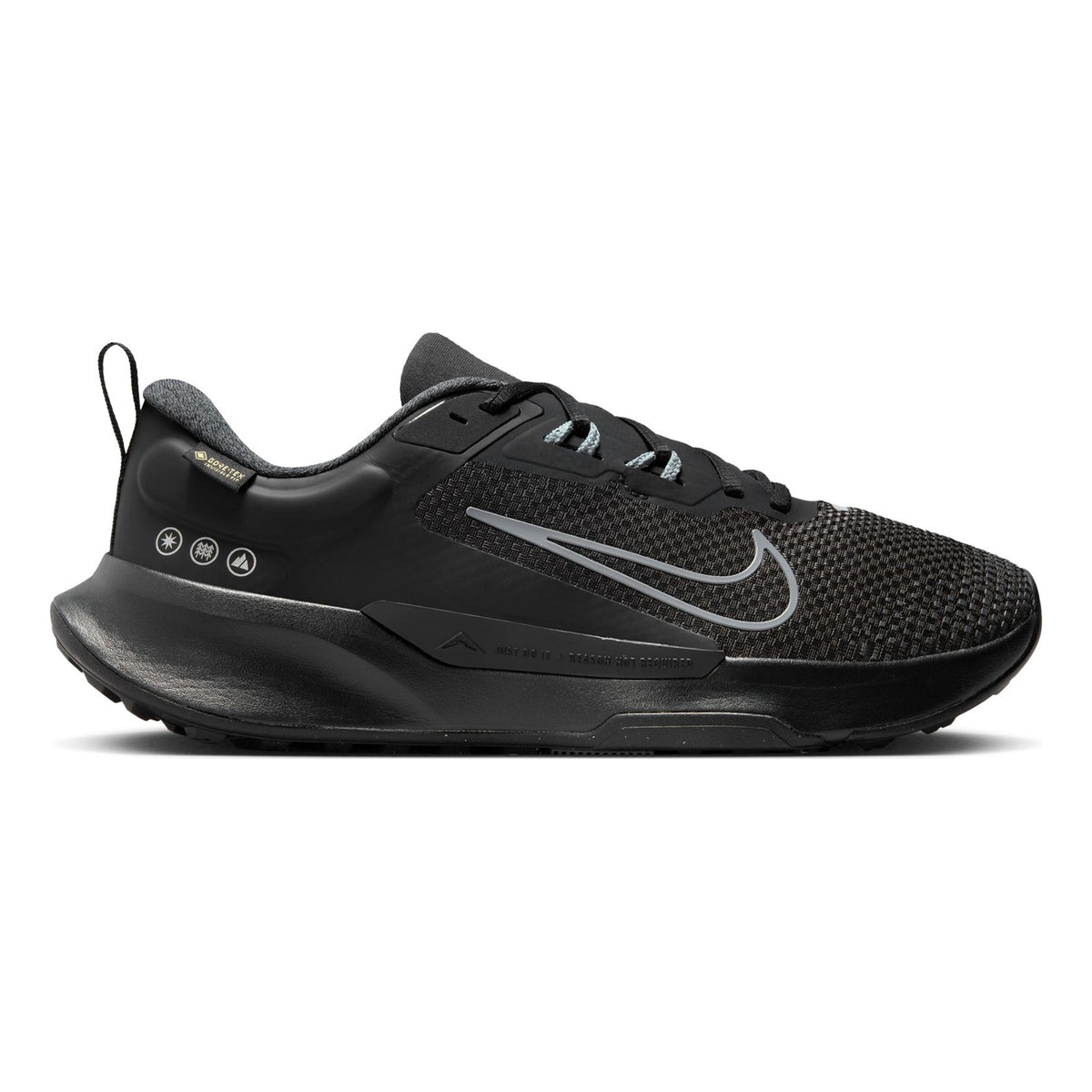 Nike Juniper Trail 2 GORE-TEX Trailschuh Herren - schwarz, grau