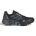 Terrex Agravic Flow 2 GTX Trailschuh Damen - schwarz, grau