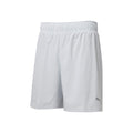 Run Favorite 2in1 Laufshorts Herren-Hellgrau