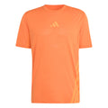 Terrex XPR  Laufshirt Herren-orange