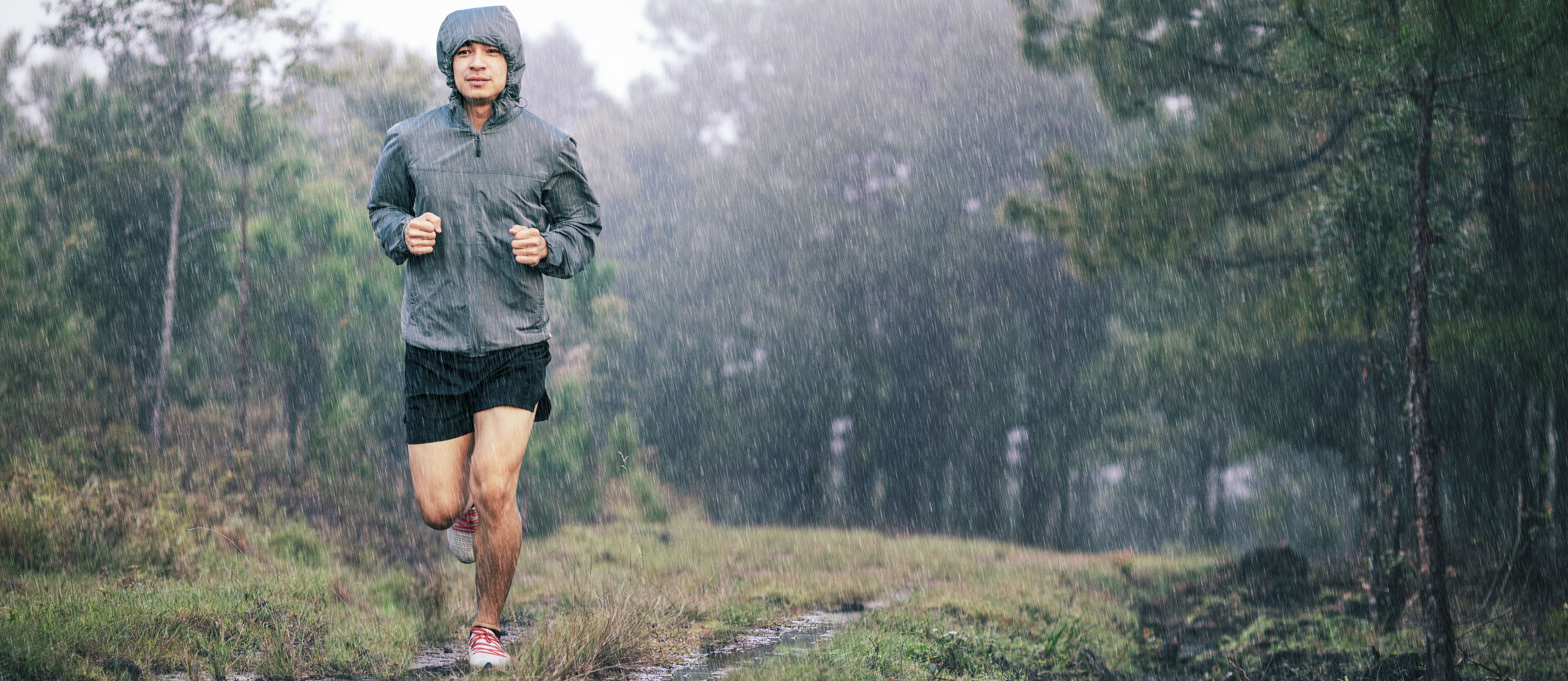 Ein Mann läuft im Wald und es regnet