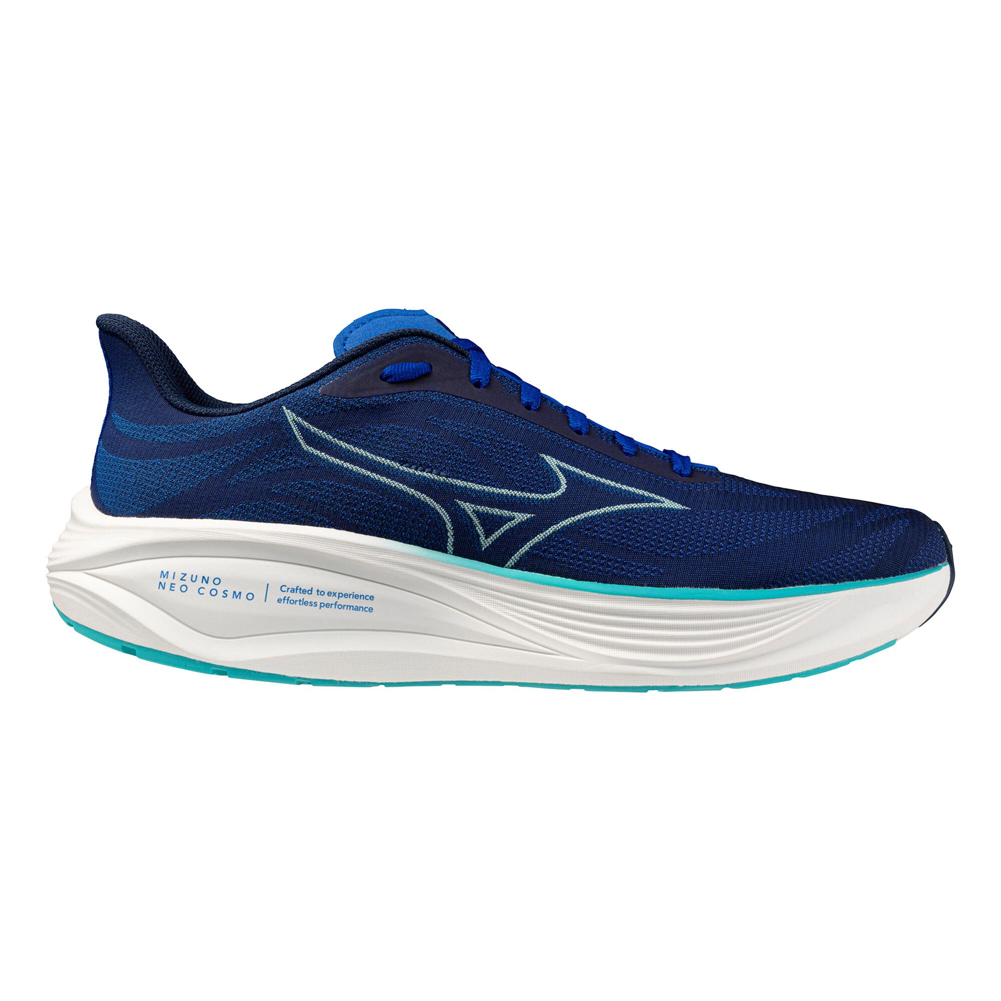 Mizuno