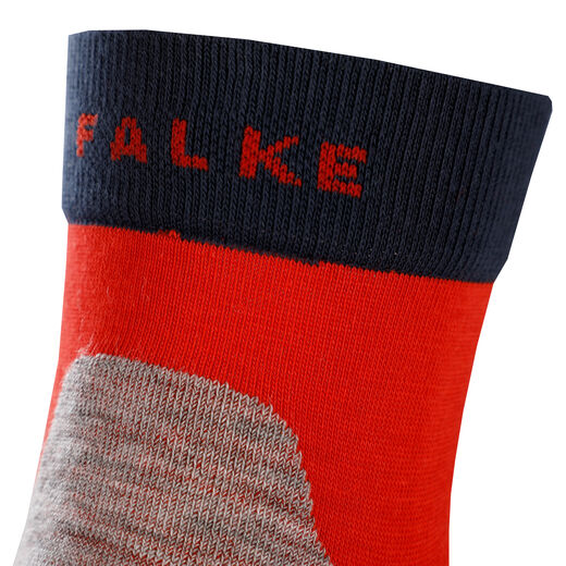 Falke