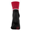 Falke