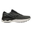 Mizuno