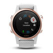 Garmin