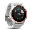 Garmin