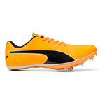Puma Laufschuhe Puma EvoSPEED Sprint 14.5 Spikeschuh-Orange,Schwarz