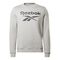 Ripped FLC BL Crew Logsleeve Men
