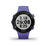 Forerunner 45 Small