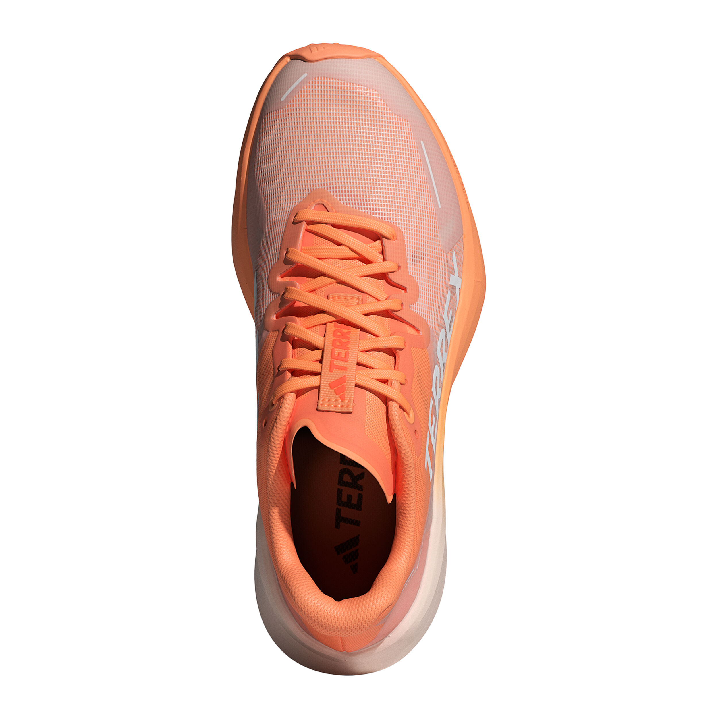 Asics terrex shop