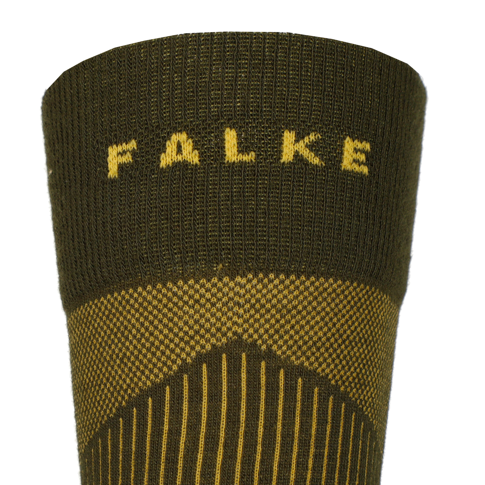 Falke