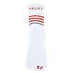 Falke