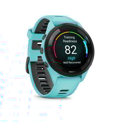 Garmin