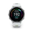 Garmin