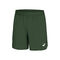 Road 7in Shorts