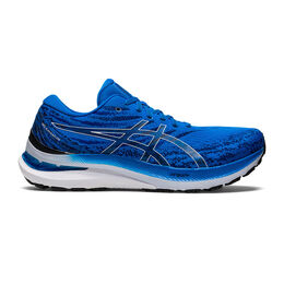 Gel-Kayano 29