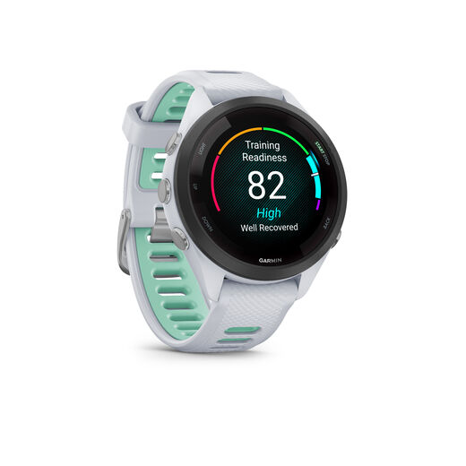 Garmin