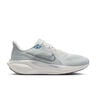 Pegasus 41