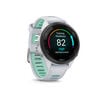 Garmin