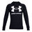 Rival Fleece Big Logo Hoodie  Men