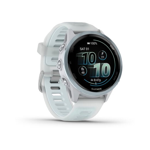 Garmin