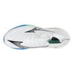 Mizuno