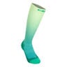 Core Run Edt. Gradient Socks Tall 5.0