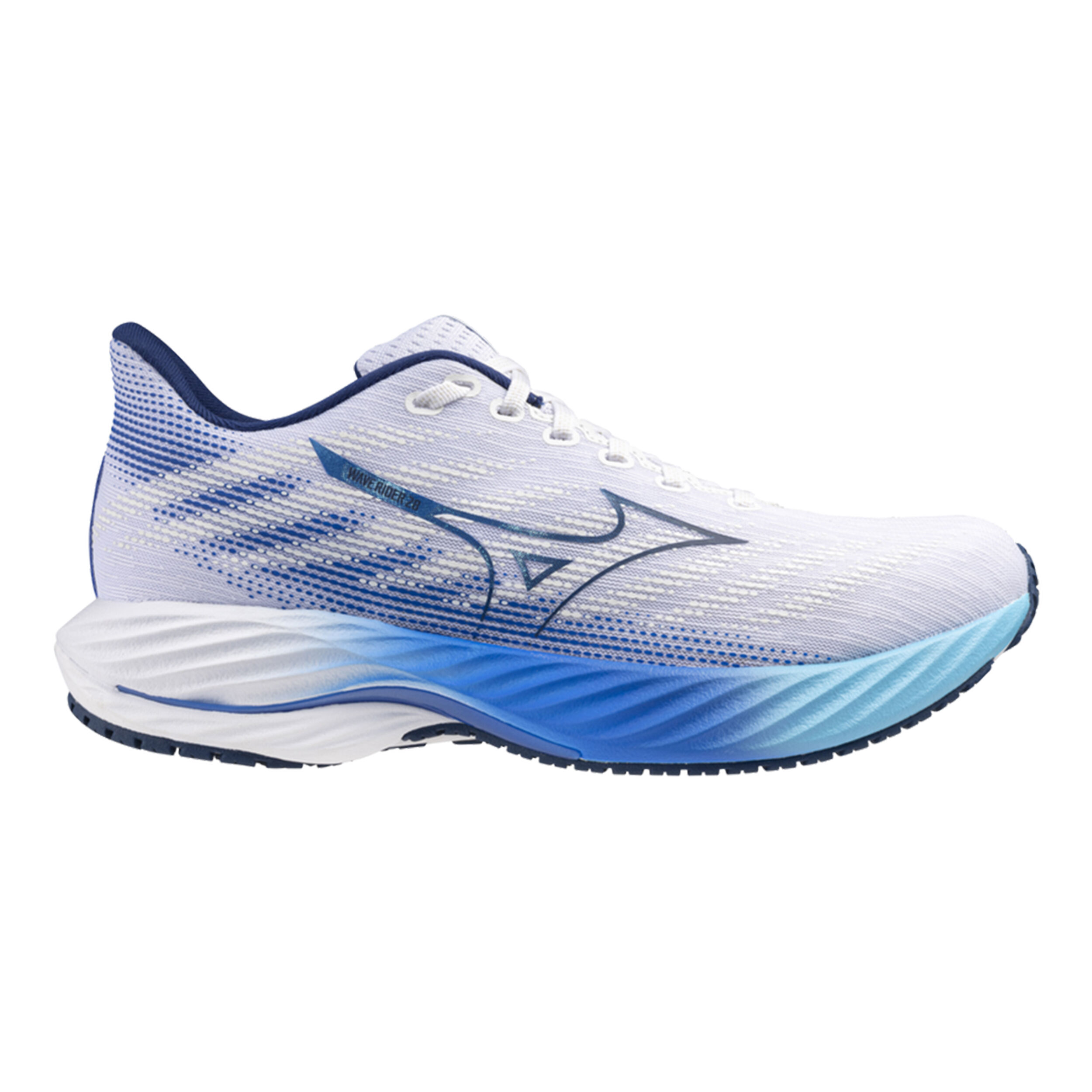 Mizuno volleyball catalog 2019 discount