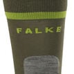 Falke