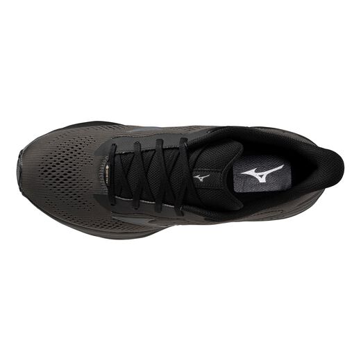 Mizuno