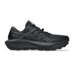 ASICS Laufschuhe ASICS Gel-Trabuco 13 GTX Trailschuh Herren-Schwarz,Hellgrau