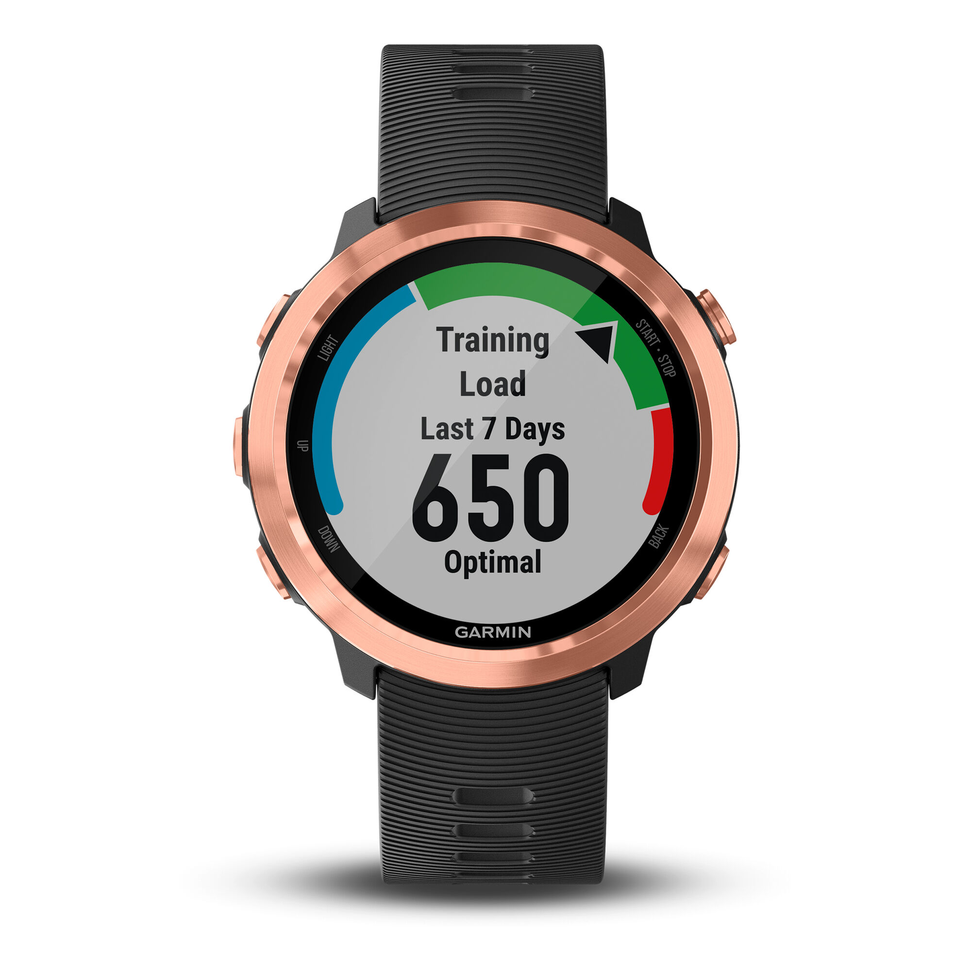 Garmin