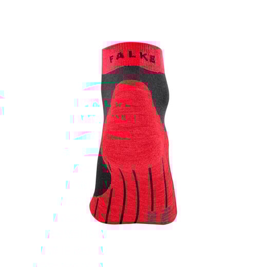Falke