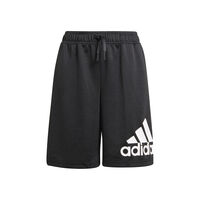 Big Logo Shorts