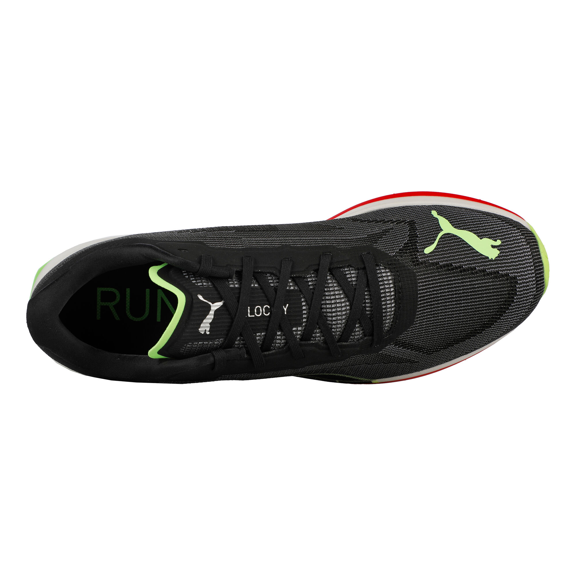 Puma