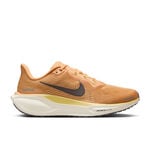 Nike Pegasus 41