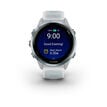 Garmin