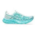 ASICS Noosa Tri 16