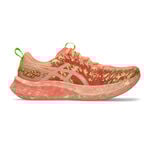 ASICS Noosa Tri 16