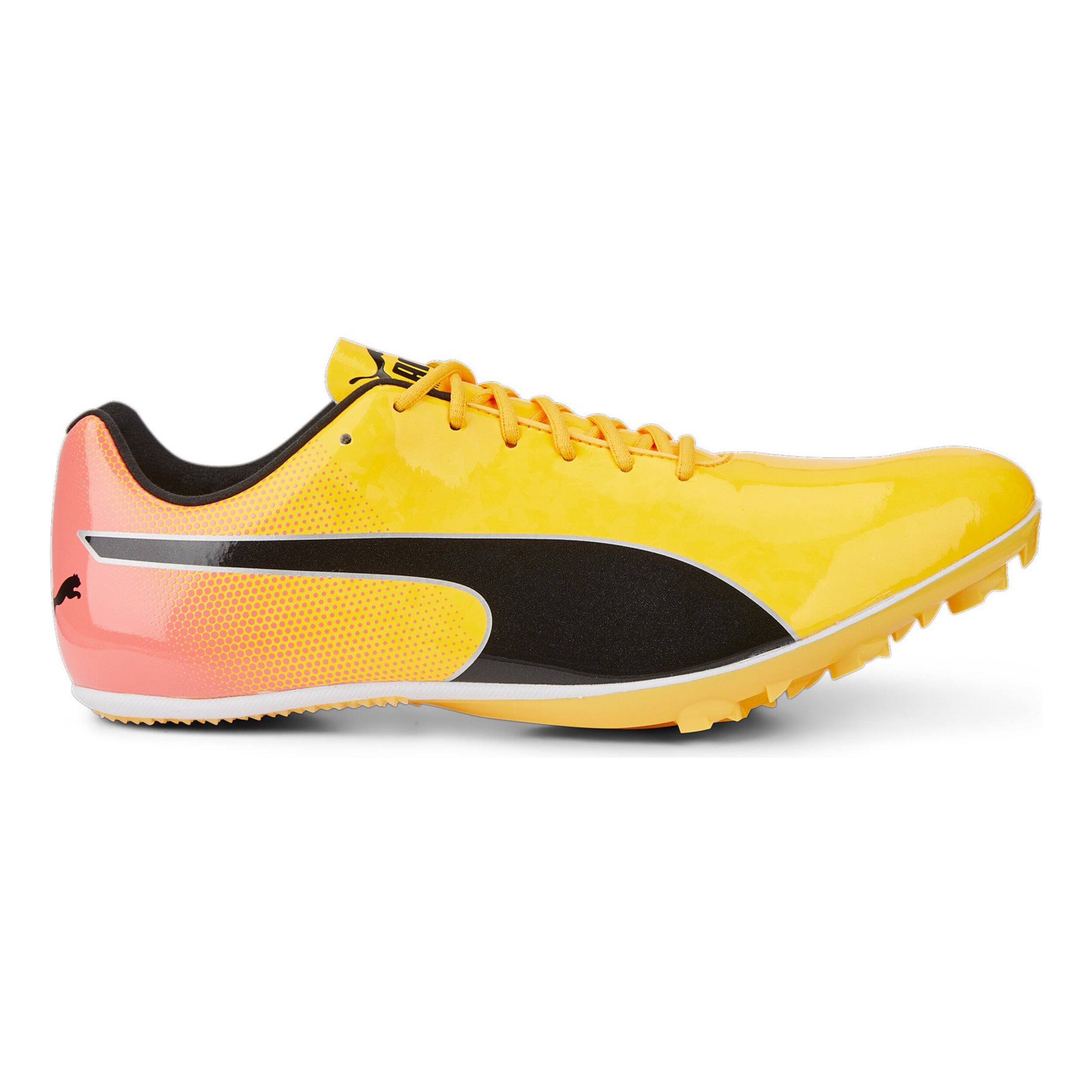 Puma EvoSPEED Sprint 14 Spikeschuh Gelb Orange online kaufen Running Point DE