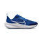 Air Zoom Pegasus 40